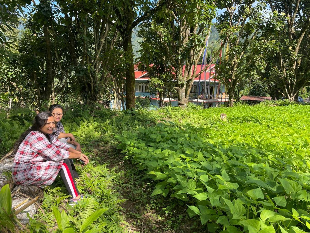 Khimsha Homestay Pelling Exterior photo